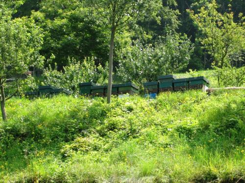 three park benches sitting in a field of grass at Agriturismo Al Marnich in Schignano
