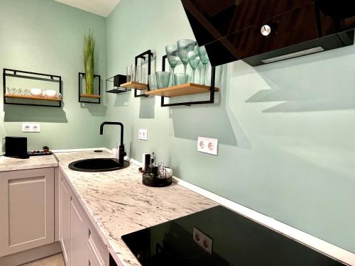 uma cozinha com um lavatório e uma bancada em Sunset View Apartment em Timisoara