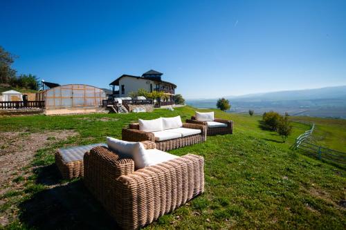 a group of wicker couches sitting on top of a field at Pensiunea Casa Buna in Gîrbova