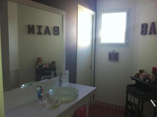 a bathroom with a sink and a large mirror at Chambres au calme chez l'habitant in Vertou