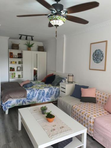 Playa del Ingles Estudio LOS MOLINOS 205