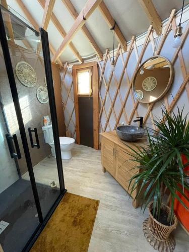 une salle de bain avec une douche, un lavabo et un miroir dans l'établissement Yourte ,volcans,randonnées,lacs,quiétude, à Grandeyrolles