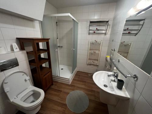 uma casa de banho com um WC, um lavatório e um chuveiro em Zaži Apartmány Fatrapark Hrabovo em Ruzomberok