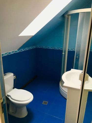 a blue bathroom with a toilet and a sink at Brasov Cucu Residence in Braşov