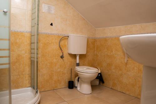 a bathroom with a toilet and a sink and a shower at Pensiunea Lido Moisei in Moisei