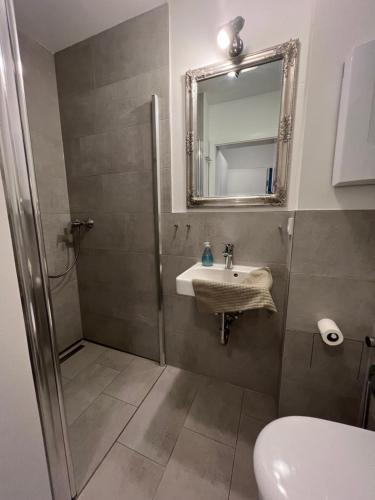 y baño con ducha, lavabo y espejo. en Stella Apartments am Erfurter Dom, en Erfurt