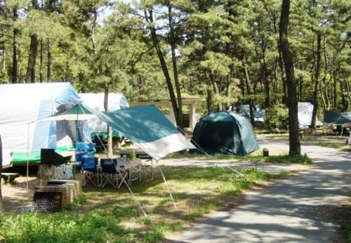 a group of tents in a field with trees at Kyukamura Irago in Tahara