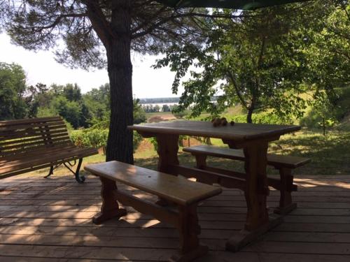 een picknicktafel en bank met een kat bovenop bij LE TERTRE CAMILLAC 