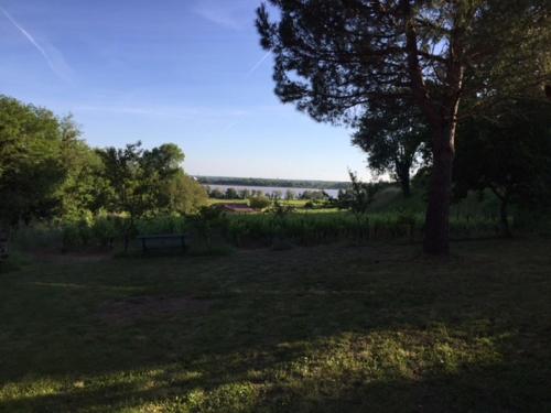 een park met een boom en een bank in een veld bij LE TERTRE CAMILLAC 