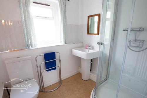 ein Badezimmer mit Waschbecken, Toilette und Dusche in der Unterkunft The Croft Cottage - near Aviemore in Aviemore