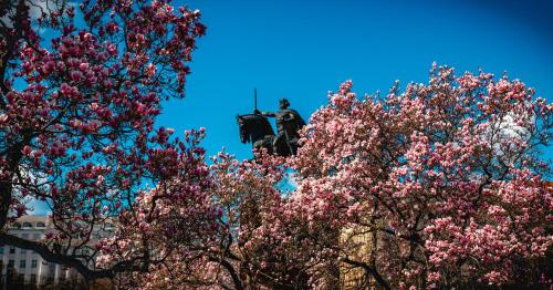 a man on a horse in between two trees at Apartment Gallery Zagreb in Zagreb