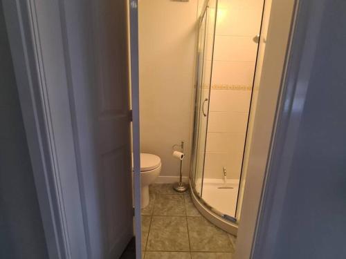 a bathroom with a toilet and a large mirror at Peaceful self contained Studio in lovely garden. in Hinckley