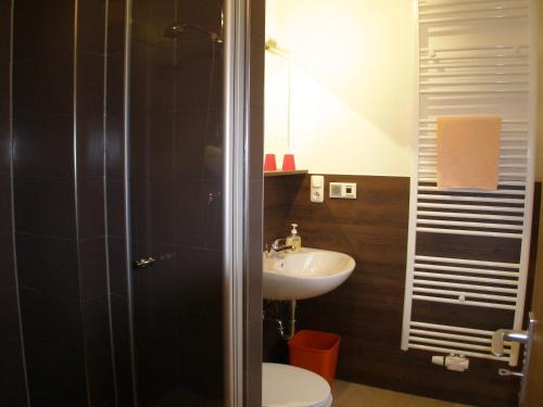 a bathroom with a sink and a toilet and a shower at Haus Katharina Hotel garni in Bad Steben