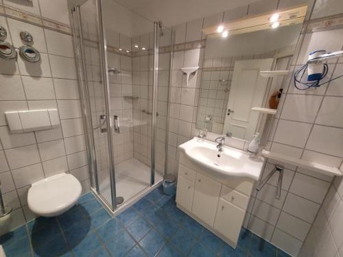 y baño con ducha, aseo y lavamanos. en Ferienwohnung A2 im Landhaus am Haff, en Stolpe auf Usedom