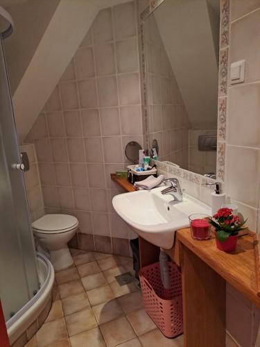 uma casa de banho com um lavatório e um WC em Holiday home Pri Metki - Bohinj em Bohinj