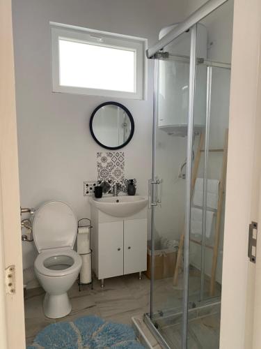 a bathroom with a toilet and a sink and a mirror at Cabana EvAy in Ocnele Mari