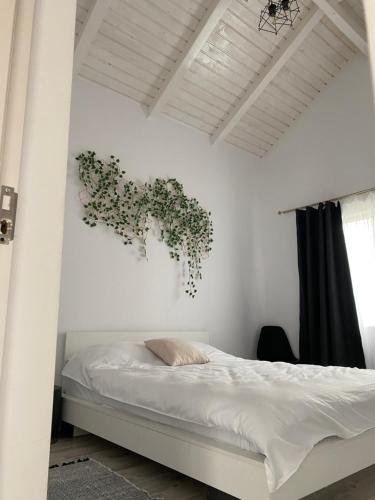 1 dormitorio con 1 cama con una planta en la pared en Cabana EvAy, en Ocnele Mari