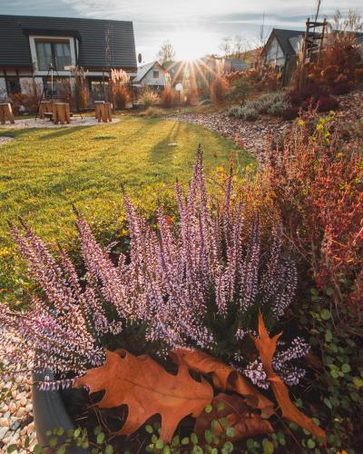 a garden with purple flowers in a yard at Śnieżka Exclusive Apartamenty in Kowary
