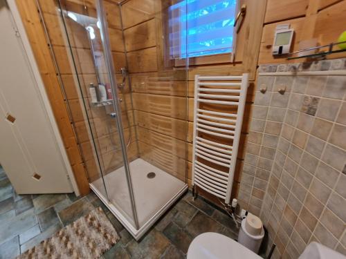 a bathroom with a shower and a toilet at Baložu rezidence in Jūrmala