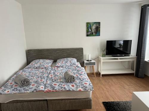 um quarto com uma cama e uma televisão de ecrã plano em FW am Park 1 em Holzminden