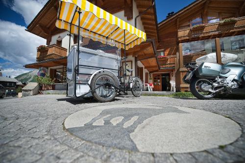 Jízda na kole v ubytování Steinbock B&B - Apartaments nebo okolí
