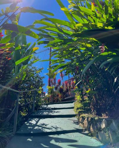 a path through a garden with plants and flowers at Dreams Lodge Orosi in Cartago