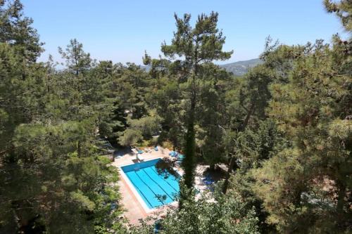 an overhead view of a swimming pool in a forest at Forest Park Hotel in Platres