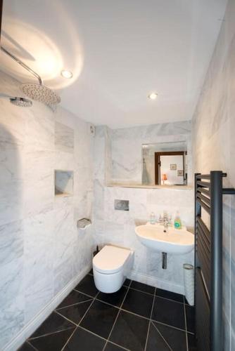 a bathroom with a toilet and a sink at Long Roods cottage in Bakewell