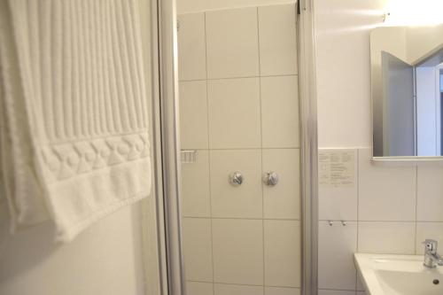 a bathroom with a shower and a sink at Hotel im Homburger Ländchen in Nümbrecht