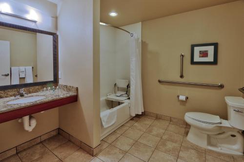 W łazience znajduje się toaleta, umywalka i prysznic. w obiekcie Holiday Inn Roswell, an IHG Hotel w mieście Roswell
