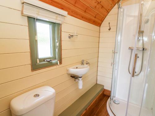 uma casa de banho com um WC, um lavatório e um chuveiro em Meadow View em Rhayader