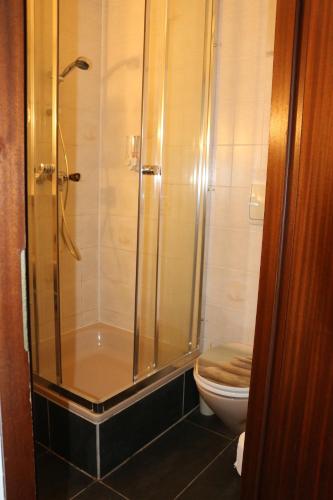 a bathroom with a shower and a toilet at Hotel Berliner Hof in Düsseldorf