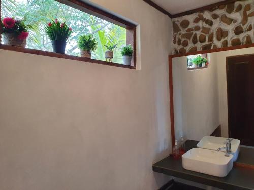 uma casa de banho com um lavatório e uma janela com vasos de plantas em Amban Beach House em Manokwari