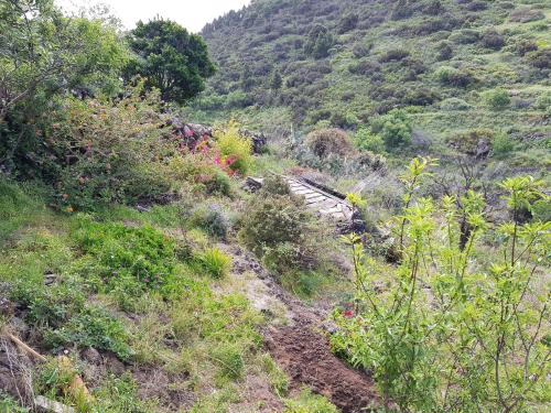 a hillside with flowers and a train on the tracks at Casa Dos Aguas in Garafía