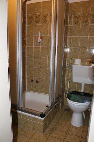 a bathroom with a toilet and a shower at Hotel Berliner Hof in Düsseldorf