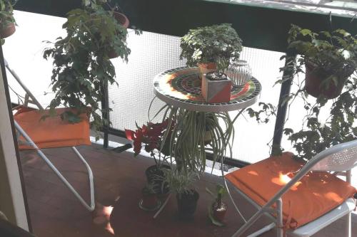 a balcony with potted plants and a table and chairs at Habitación Casa de Familia in Buenos Aires