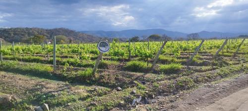 Estancia La Magdalena – Photos 5