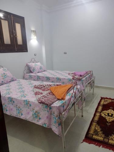 Ένα ή περισσότερα κρεβάτια σε δωμάτιο στο Nubian Queen Guest House