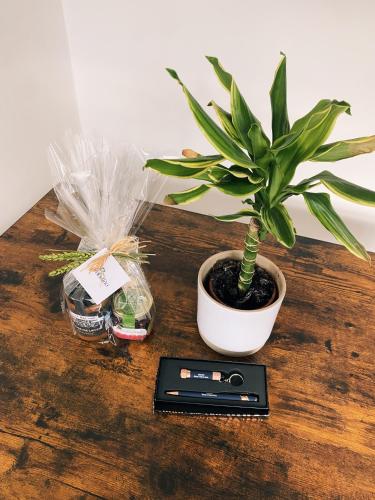 a potted plant sitting on a wooden table with a scale at Casa Amodiño in Belesar