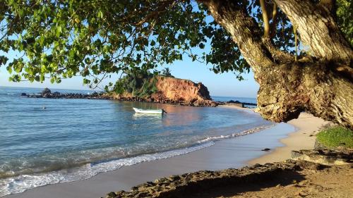 a small boat in the water on a beach at Palm villa Mirissa hotel&spa in Mirissa
