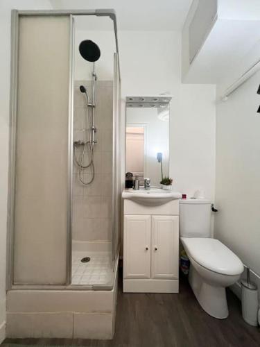 une salle de bain avec une douche, des toilettes et un lavabo dans l'établissement Le petit nid à 2 MIN gare / centre Meulan, à Meulan-en-Yvelines