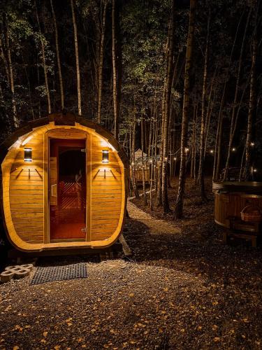 a small wooden cabin in the woods at night at Jurty z widokiem, prywatna balia- DZIKOLAS GLAMPING in Krasnobród