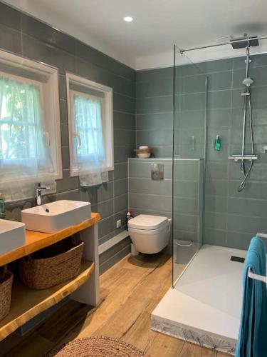 une salle de bain avec une douche, des toilettes et un lavabo dans l'établissement Magnifique Villa avec Piscine-Jacuzzi-coin fitness, à Bidart
