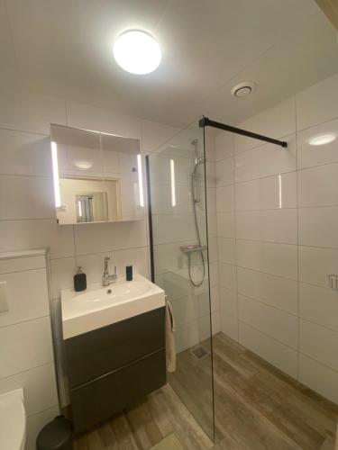 een badkamer met een wastafel en een douche bij BenBZuiderzee in Hattem