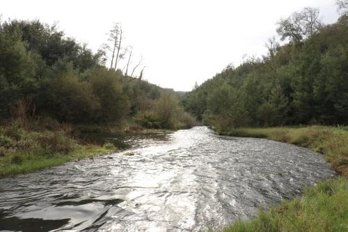 a river that is flowing through a forest at Vale das Maias - Casa de Campo in Laborins