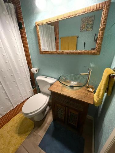 a bathroom with a toilet and a sink with a mirror at The Blue Bahia Resort In Sandy Bay in Coxen Hole