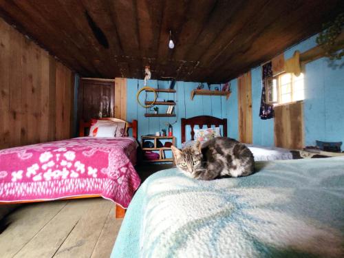 Un pat sau paturi într-o cameră la Patricia and Ned's cloud forest farm