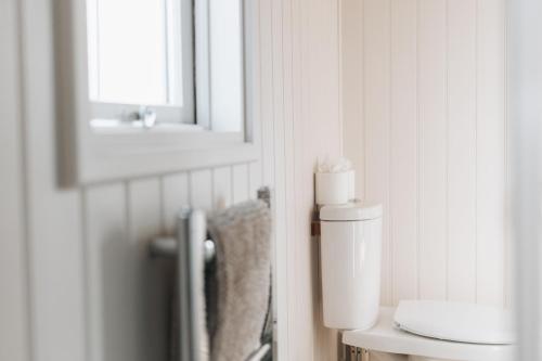 a bathroom with a toilet and a mirror at Hillside View in Rhayader