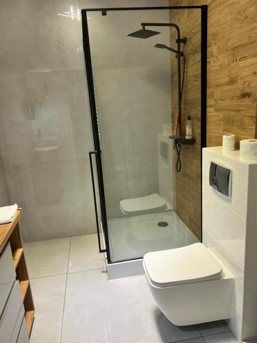 a bathroom with a shower and a white toilet at Apartament Kameralny in Radom