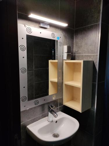 La salle de bains est pourvue d'un lavabo et d'un miroir. dans l'établissement CHEZ WL, à Luxembourg